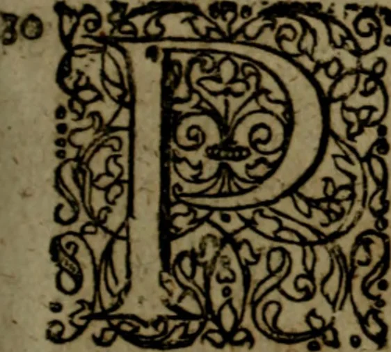 An illustration from Notae uberiores in Historiam Danicam Saxonis Grammatici : Una cum prolegomenis ad easdem notas, 1645, leaf 372