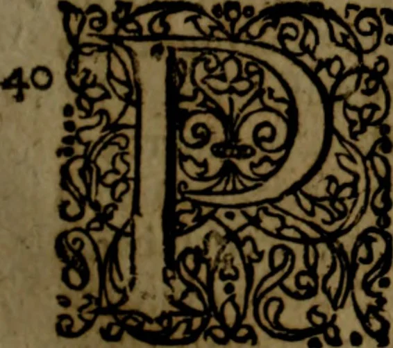 An illustration from Notae uberiores in Historiam Danicam Saxonis Grammatici : Una cum prolegomenis ad easdem notas, 1645, leaf 384