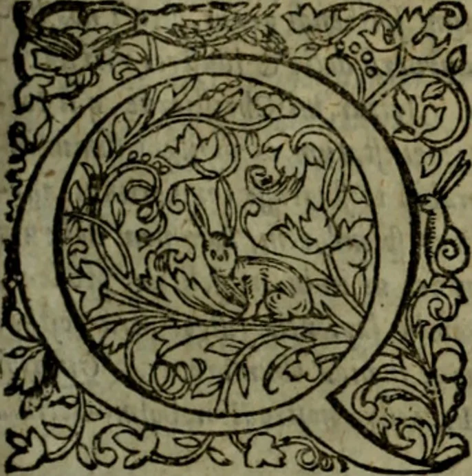 An illustration from Notae uberiores in Historiam Danicam Saxonis Grammatici : Una cum prolegomenis ad easdem notas, 1645, leaf 422
