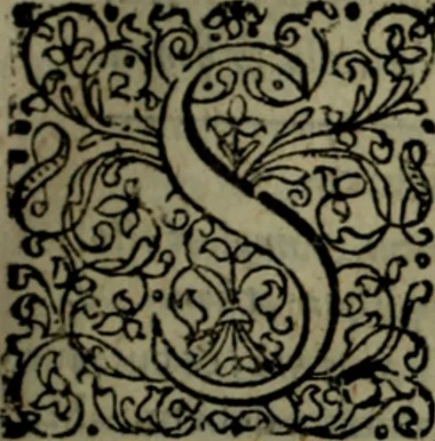 An illustration from Notae uberiores in Historiam Danicam Saxonis Grammatici : Una cum prolegomenis ad easdem notas, 1645, leaf 480