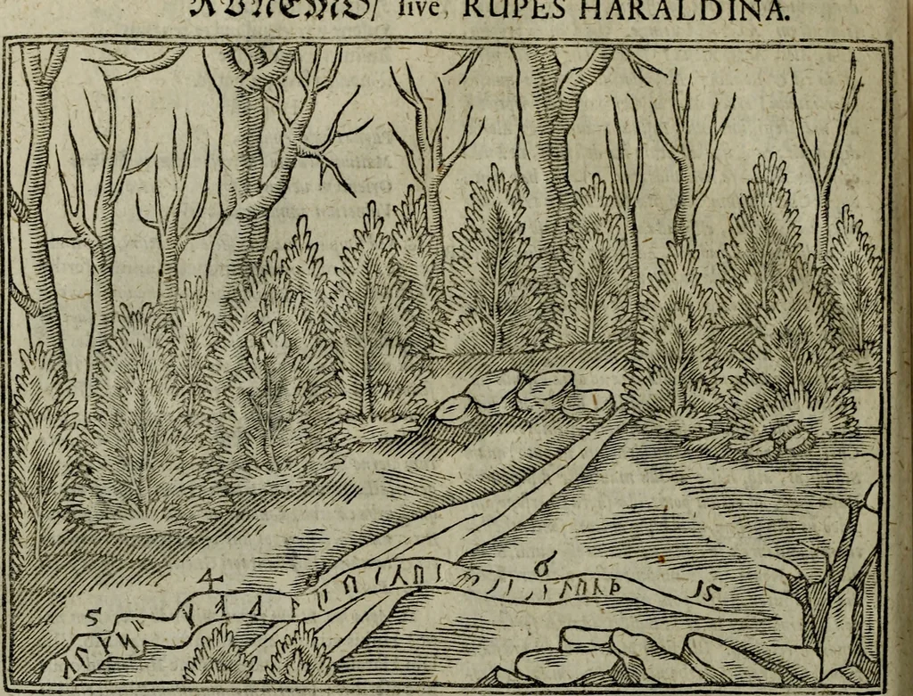 An illustration from Notae uberiores in Historiam Danicam Saxonis Grammatici : Una cum prolegomenis ad easdem notas, 1645, leaf 501