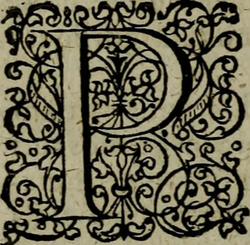 An illustration from Notae uberiores in Historiam Danicam Saxonis Grammatici : Una cum prolegomenis ad easdem notas, 1645, leaf 67
