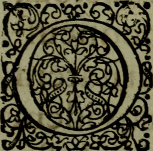 An illustration from Notae uberiores in Historiam Danicam Saxonis Grammatici : Una cum prolegomenis ad easdem notas, 1645, leaf 8