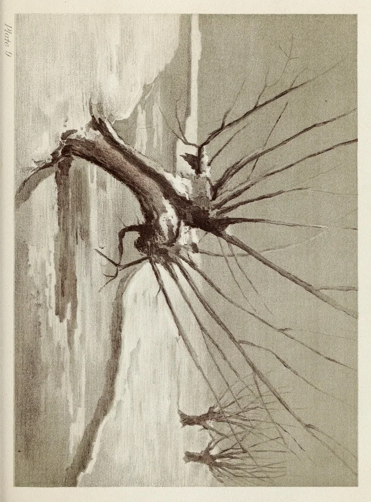 An illustration from A note on color for teachers of elementary schools, 1902, leaf 65