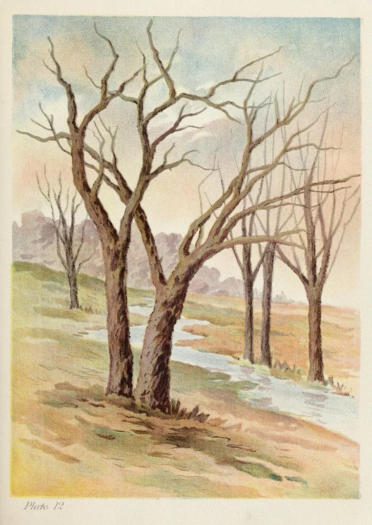 An illustration from A note on color for teachers of elementary schools, 1902, leaf 83