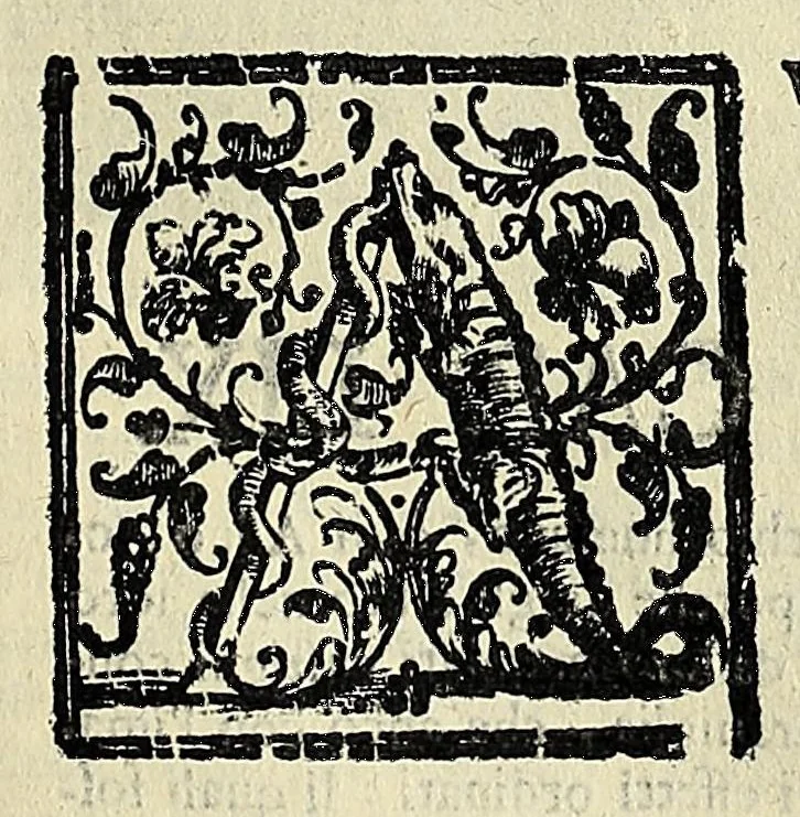 An illustration from Note overo memorie del museo del conte Lodovico Moscardo : nobile veronese uno de padri nell'Accademia filarmonica, dal medesimo descritte in trè libri : nel primo si discorre delle cose antiche, che in dette museo si ritrouano : nel secondo delle pietre, minerali, e terre : nel terzo de corali, conchiglie, animali, frutti, & altre cose in quello contenute ... : con l'aggiunta in questa seconda impressione della seconda parte delle stesso autore, accresciuta di cose spettanti particolarmente all'antichità : con l'indice d'vna gran parte delle sue medaglie, & pitture, come anco delli ritratti de prencipi, & altri illustri huomini, così in arme, come in lettere, 1672, leaf 121