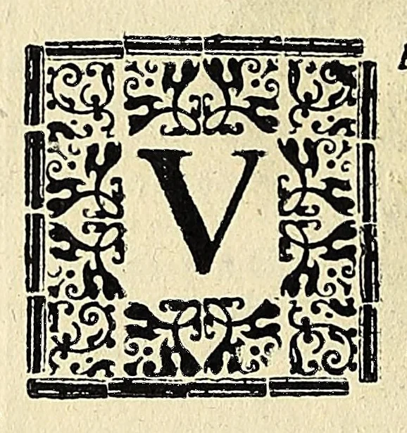 An illustration from Note overo memorie del museo del conte Lodovico Moscardo : nobile veronese uno de padri nell'Accademia filarmonica, dal medesimo descritte in trè libri : nel primo si discorre delle cose antiche, che in dette museo si ritrouano : nel secondo delle pietre, minerali, e terre : nel terzo de corali, conchiglie, animali, frutti, & altre cose in quello contenute ... : con l'aggiunta in questa seconda impressione della seconda parte delle stesso autore, accresciuta di cose spettanti particolarmente all'antichità : con l'indice d'vna gran parte delle sue medaglie, & pitture, come anco delli ritratti de prencipi, & altri illustri huomini, così in arme, come in lettere, 1672, leaf 136