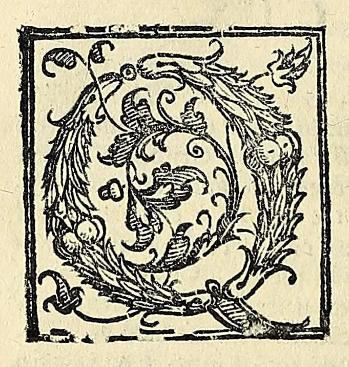 An illustration from Note overo memorie del museo del conte Lodovico Moscardo : nobile veronese uno de padri nell'Accademia filarmonica, dal medesimo descritte in trè libri : nel primo si discorre delle cose antiche, che in dette museo si ritrouano : nel secondo delle pietre, minerali, e terre : nel terzo de corali, conchiglie, animali, frutti, & altre cose in quello contenute ... : con l'aggiunta in questa seconda impressione della seconda parte delle stesso autore, accresciuta di cose spettanti particolarmente all'antichità : con l'indice d'vna gran parte delle sue medaglie, & pitture, come anco delli ritratti de prencipi, & altri illustri huomini, così in arme, come in lettere, 1672, leaf 186