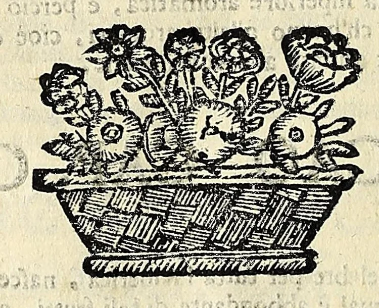 An illustration from Note overo memorie del museo del conte Lodovico Moscardo : nobile veronese uno de padri nell'Accademia filarmonica, dal medesimo descritte in trè libri : nel primo si discorre delle cose antiche, che in dette museo si ritrouano : nel secondo delle pietre, minerali, e terre : nel terzo de corali, conchiglie, animali, frutti, & altre cose in quello contenute ... : con l'aggiunta in questa seconda impressione della seconda parte delle stesso autore, accresciuta di cose spettanti particolarmente all'antichità : con l'indice d'vna gran parte delle sue medaglie, & pitture, come anco delli ritratti de prencipi, & altri illustri huomini, così in arme, come in lettere, 1672, leaf 282