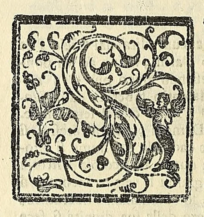 An illustration from Note overo memorie del museo del conte Lodovico Moscardo : nobile veronese uno de padri nell'Accademia filarmonica, dal medesimo descritte in trè libri : nel primo si discorre delle cose antiche, che in dette museo si ritrouano : nel secondo delle pietre, minerali, e terre : nel terzo de corali, conchiglie, animali, frutti, & altre cose in quello contenute ... : con l'aggiunta in questa seconda impressione della seconda parte delle stesso autore, accresciuta di cose spettanti particolarmente all'antichità : con l'indice d'vna gran parte delle sue medaglie, & pitture, come anco delli ritratti de prencipi, & altri illustri huomini, così in arme, come in lettere, 1672, leaf 350