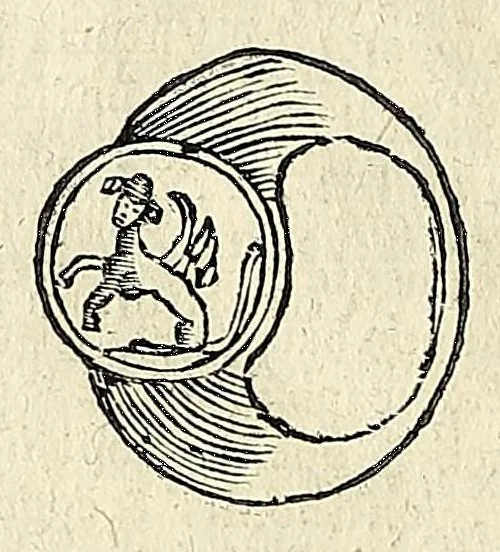 An illustration from Note overo memorie del museo del conte Lodovico Moscardo : nobile veronese uno de padri nell'Accademia filarmonica, dal medesimo descritte in trè libri : nel primo si discorre delle cose antiche, che in dette museo si ritrouano : nel secondo delle pietre, minerali, e terre : nel terzo de corali, conchiglie, animali, frutti, & altre cose in quello contenute ... : con l'aggiunta in questa seconda impressione della seconda parte delle stesso autore, accresciuta di cose spettanti particolarmente all'antichità : con l'indice d'vna gran parte delle sue medaglie, & pitture, come anco delli ritratti de prencipi, & altri illustri huomini, così in arme, come in lettere, 1672, leaf 432