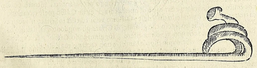 An illustration from Note overo memorie del museo del conte Lodovico Moscardo : nobile veronese uno de padri nell'Accademia filarmonica, dal medesimo descritte in trè libri : nel primo si discorre delle cose antiche, che in dette museo si ritrouano : nel secondo delle pietre, minerali, e terre : nel terzo de corali, conchiglie, animali, frutti, & altre cose in quello contenute ... : con l'aggiunta in questa seconda impressione della seconda parte delle stesso autore, accresciuta di cose spettanti particolarmente all'antichità : con l'indice d'vna gran parte delle sue medaglie, & pitture, come anco delli ritratti de prencipi, & altri illustri huomini, così in arme, come in lettere, 1672, leaf 441