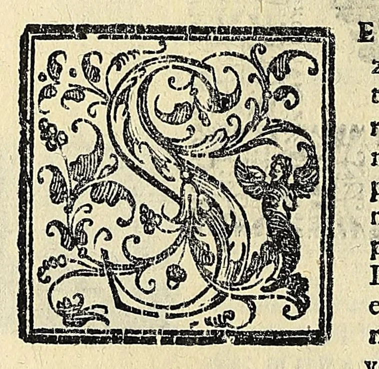 An illustration from Note overo memorie del museo del conte Lodovico Moscardo : nobile veronese uno de padri nell'Accademia filarmonica, dal medesimo descritte in trè libri : nel primo si discorre delle cose antiche, che in dette museo si ritrouano : nel secondo delle pietre, minerali, e terre : nel terzo de corali, conchiglie, animali, frutti, & altre cose in quello contenute ... : con l'aggiunta in questa seconda impressione della seconda parte delle stesso autore, accresciuta di cose spettanti particolarmente all'antichità : con l'indice d'vna gran parte delle sue medaglie, & pitture, come anco delli ritratti de prencipi, & altri illustri huomini, così in arme, come in lettere, 1672, leaf 48