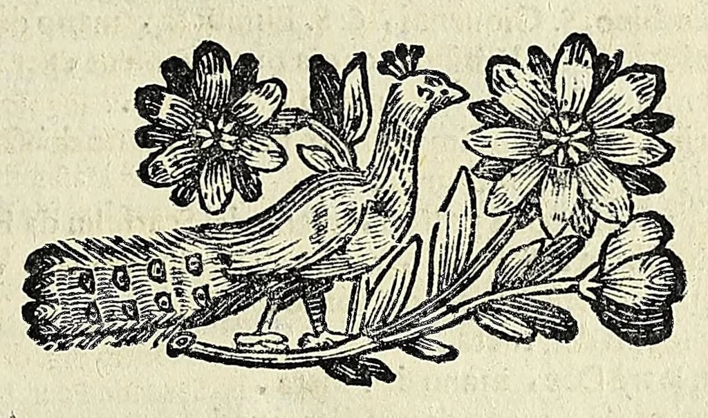 An illustration from Note overo memorie del museo del conte Lodovico Moscardo : nobile veronese uno de padri nell'Accademia filarmonica, dal medesimo descritte in trè libri : nel primo si discorre delle cose antiche, che in dette museo si ritrouano : nel secondo delle pietre, minerali, e terre : nel terzo de corali, conchiglie, animali, frutti, & altre cose in quello contenute ... : con l'aggiunta in questa seconda impressione della seconda parte delle stesso autore, accresciuta di cose spettanti particolarmente all'antichità : con l'indice d'vna gran parte delle sue medaglie, & pitture, come anco delli ritratti de prencipi, & altri illustri huomini, così in arme, come in lettere, 1672, leaf 483