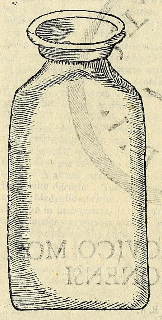 An illustration from Note overo memorie del museo del conte Lodovico Moscardo : nobile veronese uno de padri nell'Accademia filarmonica, dal medesimo descritte in trè libri : nel primo si discorre delle cose antiche, che in dette museo si ritrouano : nel secondo delle pietre, minerali, e terre : nel terzo de corali, conchiglie, animali, frutti, & altre cose in quello contenute ... : con l'aggiunta in questa seconda impressione della seconda parte delle stesso autore, accresciuta di cose spettanti particolarmente all'antichità : con l'indice d'vna gran parte delle sue medaglie, & pitture, come anco delli ritratti de prencipi, & altri illustri huomini, così in arme, come in lettere, 1672, leaf 72