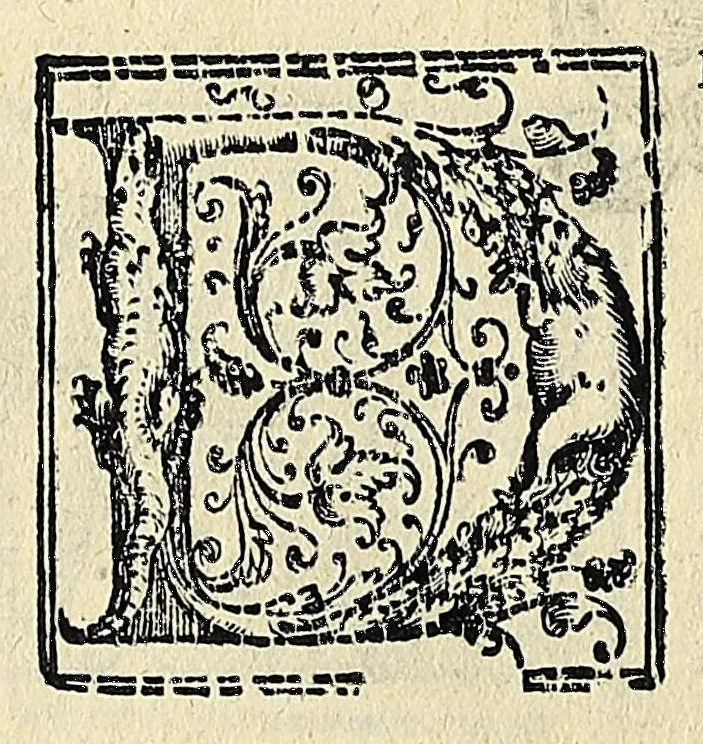 An illustration from Note overo memorie del museo del conte Lodovico Moscardo : nobile veronese uno de padri nell'Accademia filarmonica, dal medesimo descritte in trè libri : nel primo si discorre delle cose antiche, che in dette museo si ritrouano : nel secondo delle pietre, minerali, e terre : nel terzo de corali, conchiglie, animali, frutti, & altre cose in quello contenute ... : con l'aggiunta in questa seconda impressione della seconda parte delle stesso autore, accresciuta di cose spettanti particolarmente all'antichità : con l'indice d'vna gran parte delle sue medaglie, & pitture, come anco delli ritratti de prencipi, & altri illustri huomini, così in arme, come in lettere, 1672, leaf 76