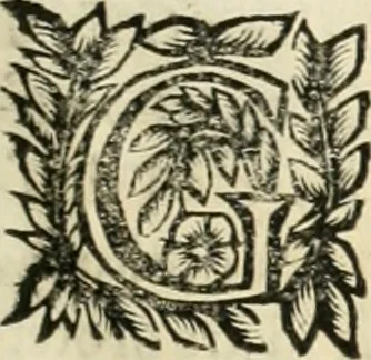 An illustration from Note, overo, Memorie del mvseo di Lodovico Moscardo ..., 1656, leaf 102