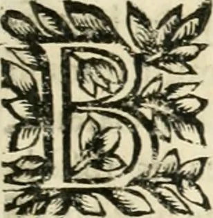 An illustration from Note, overo, Memorie del mvseo di Lodovico Moscardo ..., 1656, leaf 110