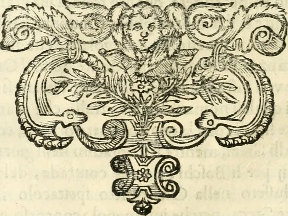 An illustration from Note, overo, Memorie del mvseo di Lodovico Moscardo ..., 1656, leaf 113