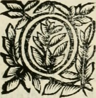 An illustration from Note, overo, Memorie del mvseo di Lodovico Moscardo ..., 1656, leaf 120