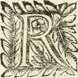 An illustration from Note, overo, Memorie del mvseo di Lodovico Moscardo ..., 1656, leaf 125