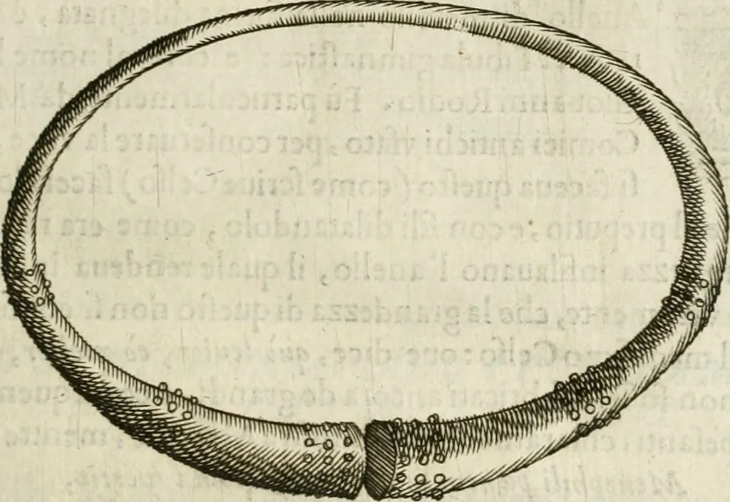 An illustration from Note, overo, Memorie del mvseo di Lodovico Moscardo ..., 1656, leaf 126