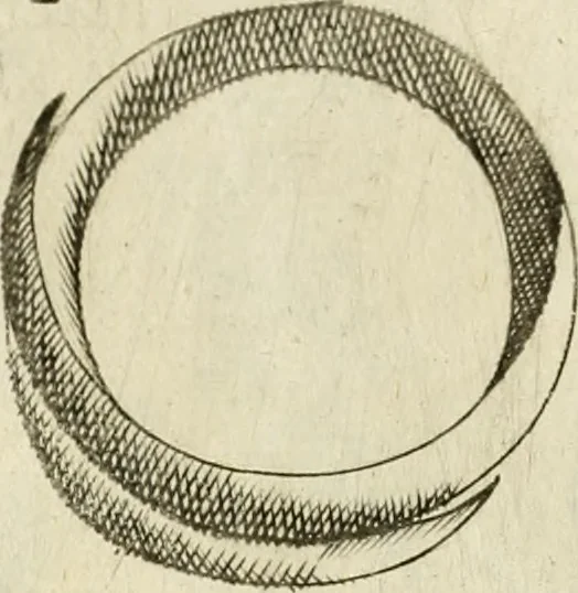 An illustration from Note, overo, Memorie del mvseo di Lodovico Moscardo ..., 1656, leaf 127