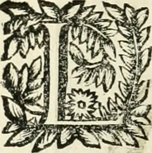 An illustration from Note, overo, Memorie del mvseo di Lodovico Moscardo ..., 1656, leaf 127