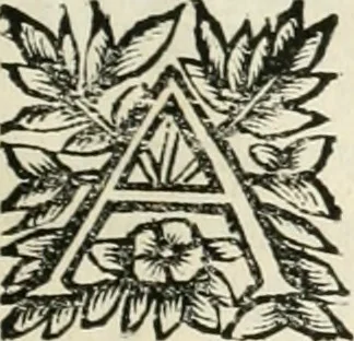 An illustration from Note, overo, Memorie del mvseo di Lodovico Moscardo ..., 1656, leaf 128