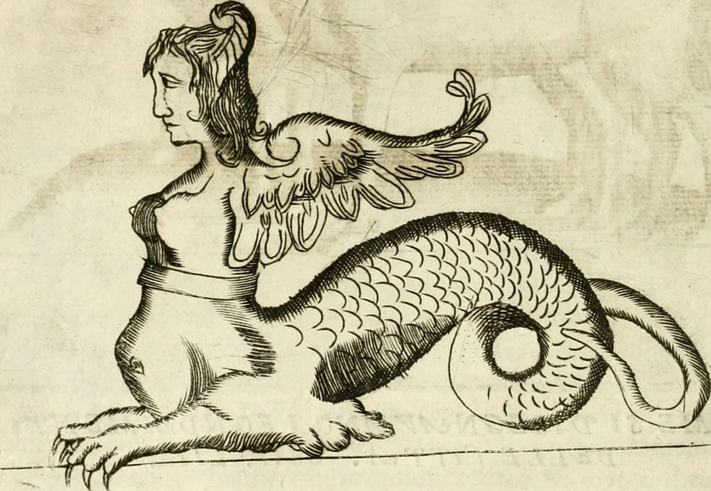 An illustration from Note, overo, Memorie del mvseo di Lodovico Moscardo ..., 1656, leaf 129