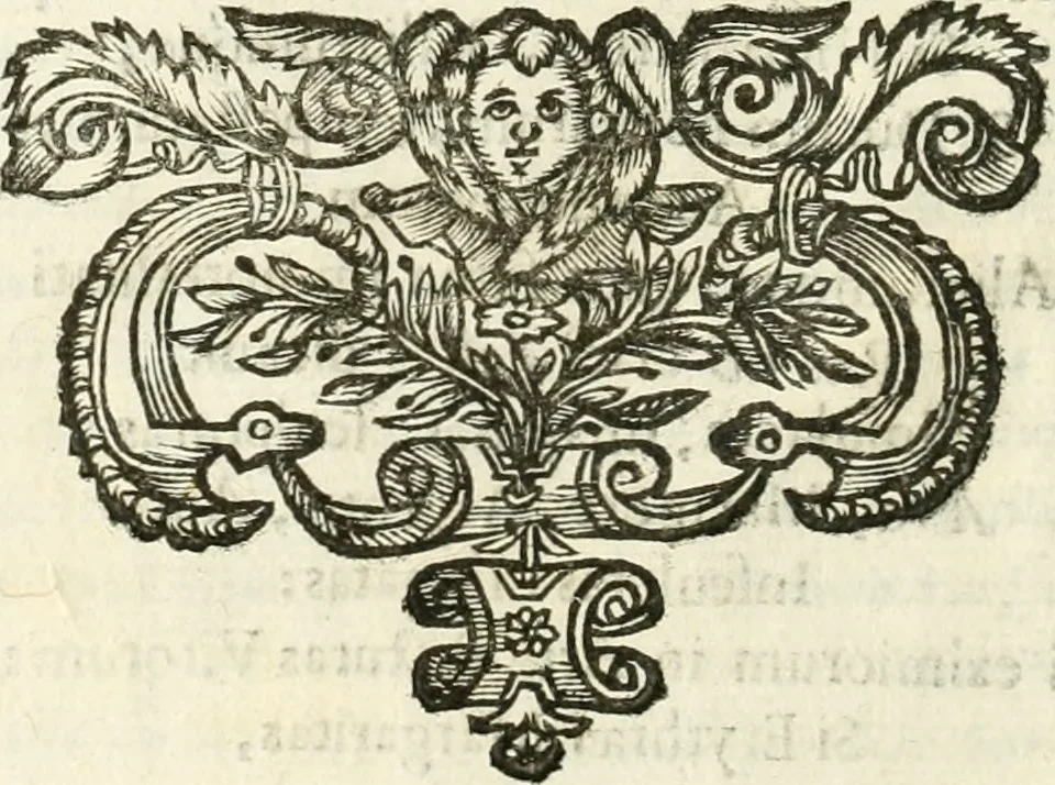 An illustration from Note, overo, Memorie del mvseo di Lodovico Moscardo ..., 1656, leaf 13