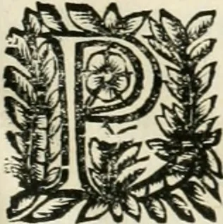 An illustration from Note, overo, Memorie del mvseo di Lodovico Moscardo ..., 1656, leaf 138