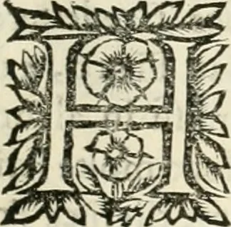 An illustration from Note, overo, Memorie del mvseo di Lodovico Moscardo ..., 1656, leaf 140