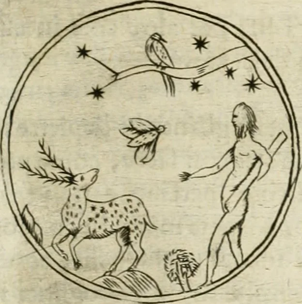 An illustration from Note, overo, Memorie del mvseo di Lodovico Moscardo ..., 1656, leaf 148