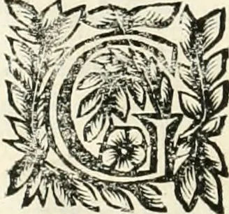 An illustration from Note, overo, Memorie del mvseo di Lodovico Moscardo ..., 1656, leaf 167