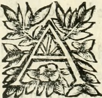 An illustration from Note, overo, Memorie del mvseo di Lodovico Moscardo ..., 1656, leaf 171