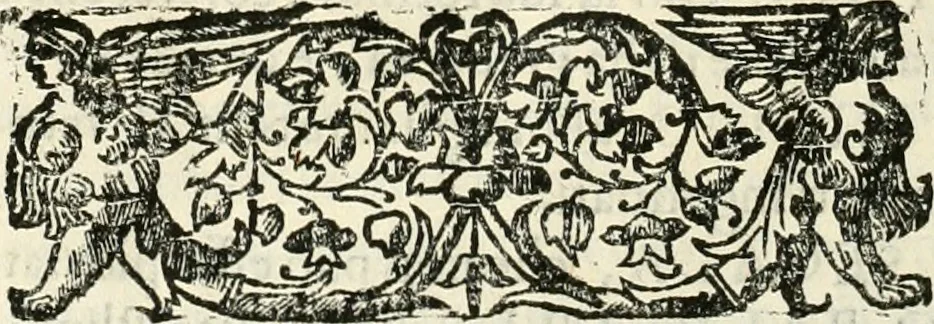 An illustration from Note, overo, Memorie del mvseo di Lodovico Moscardo ..., 1656, leaf 199