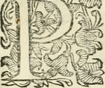 An illustration from Note, overo, Memorie del mvseo di Lodovico Moscardo ..., 1656, leaf 212