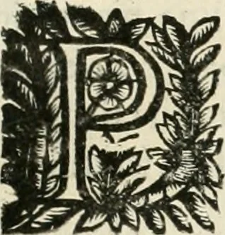 An illustration from Note, overo, Memorie del mvseo di Lodovico Moscardo ..., 1656, leaf 224