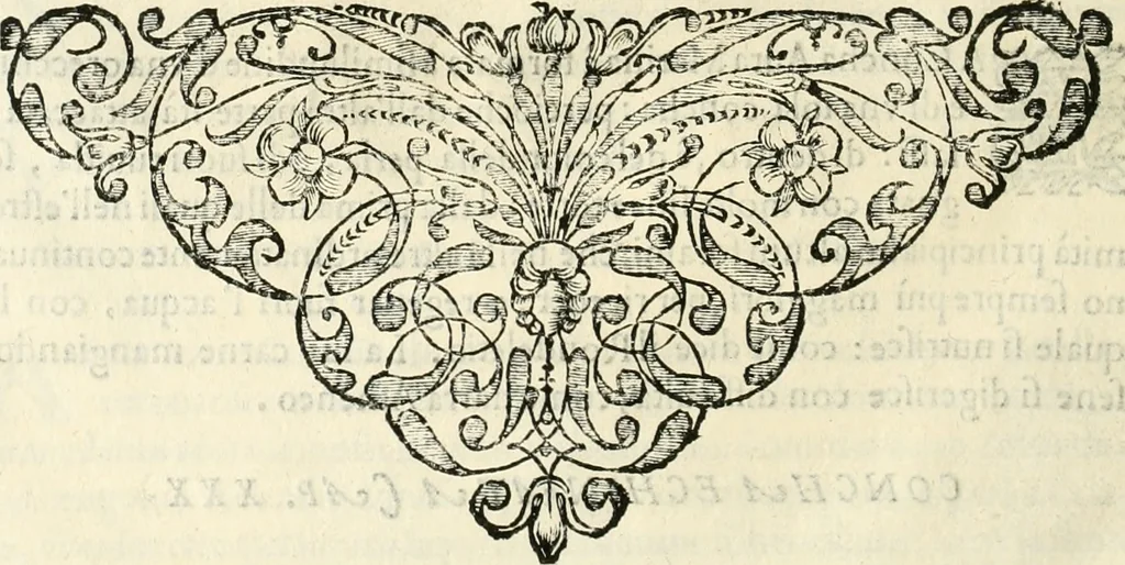 An illustration from Note, overo, Memorie del mvseo di Lodovico Moscardo ..., 1656, leaf 229