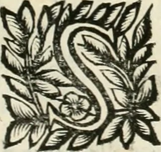 An illustration from Note, overo, Memorie del mvseo di Lodovico Moscardo ..., 1656, leaf 230
