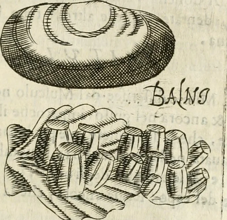 An illustration from Note, overo, Memorie del mvseo di Lodovico Moscardo ..., 1656, leaf 232