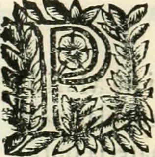 An illustration from Note, overo, Memorie del mvseo di Lodovico Moscardo ..., 1656, leaf 237
