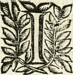 An illustration from Note, overo, Memorie del mvseo di Lodovico Moscardo ..., 1656, leaf 245