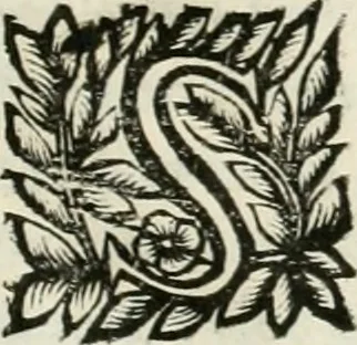 An illustration from Note, overo, Memorie del mvseo di Lodovico Moscardo ..., 1656, leaf 250