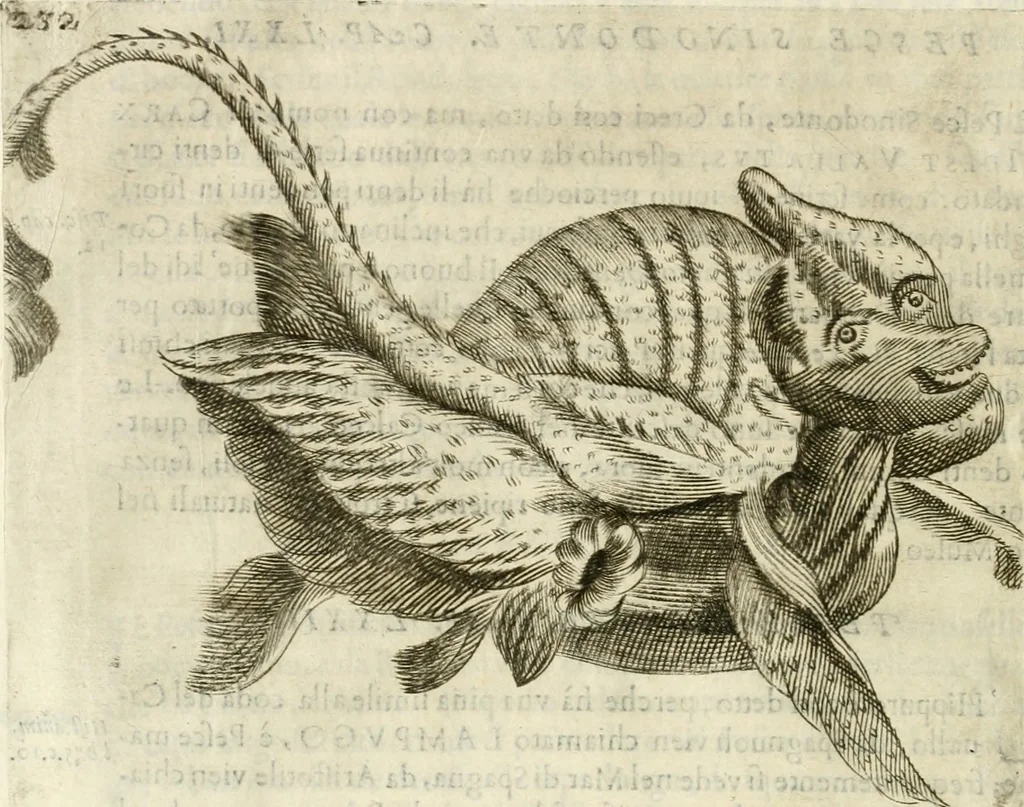 An illustration from Note, overo, Memorie del mvseo di Lodovico Moscardo ..., 1656, leaf 255