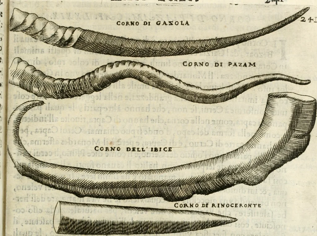 An illustration from Note, overo, Memorie del mvseo di Lodovico Moscardo ..., 1656, leaf 264