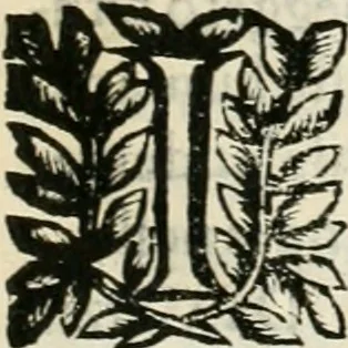 An illustration from Note, overo, Memorie del mvseo di Lodovico Moscardo ..., 1656, leaf 274