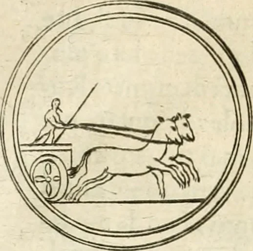 An illustration from Note, overo, Memorie del mvseo di Lodovico Moscardo ..., 1656, leaf 29
