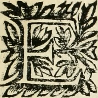 An illustration from Note, overo, Memorie del mvseo di Lodovico Moscardo ..., 1656, leaf 30